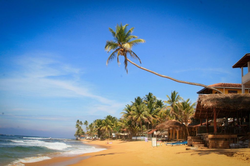 Куда поехать на море за границу осенью где отдохнуть в 2023-Шри-Ланка